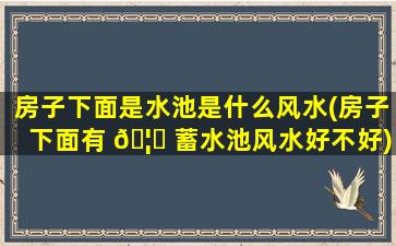 房子下面是水池是什么风水(房子下面有 🦍 蓄水池风水好不好)